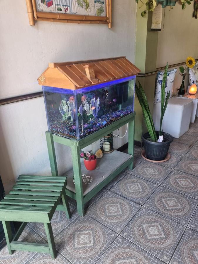 Hotel Paradise Alajuela Río Segundo Exteriör bild